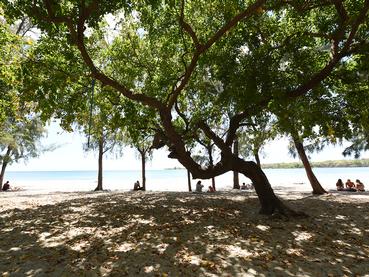 La plage de Tamarin, situé sur la côte ouest de l'île Maurice